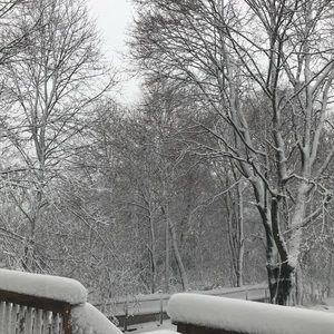 Meet your Posher, Bryanna